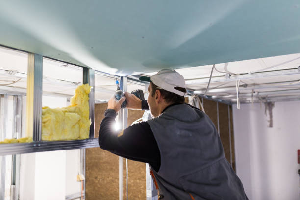Best Spray Foam Insulation in Goliad, TX