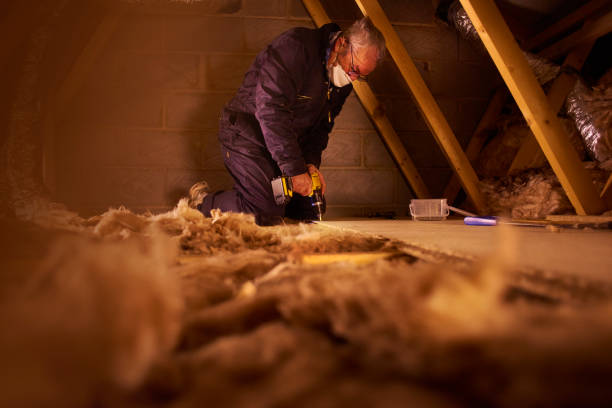 Best Geographic-Specific Insulation Services in Goliad, TX